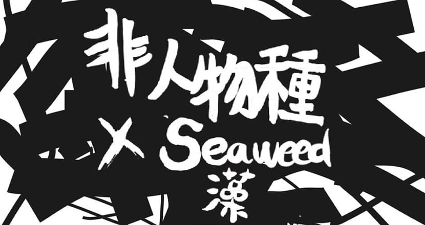非人物種 X Seaweed 藻