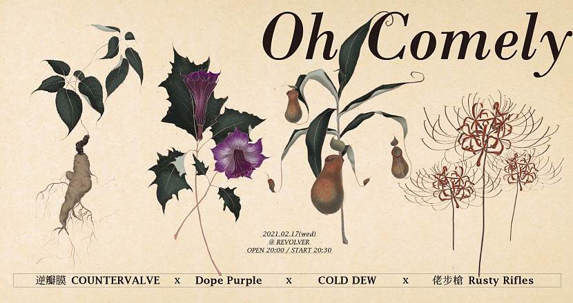 Oh Comely (逆瓣膜★Dope Purple ★佬步槍★COLD DEW)