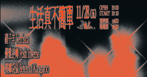 生活真不簡單：硝子羊、優雅逆轉、檳榔袋鼠