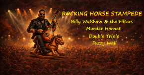ROCKING HORSE STAMPEDE ft. Billy Walshaw & The Filters + Murder Hornet + Double Triple + Fuzzy Wall
