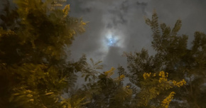Before The Mircromoon