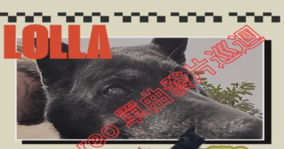 LOLLA pre. OREO 單曲發片巡迴-台中