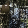 波羅密•ボロメ•Borome《春展》with MoonD’shake